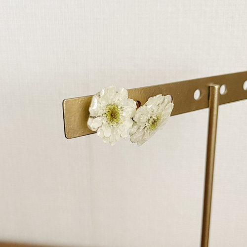 季節の花】マトリカリア ダブルラテ ピアス（スタッド・一粒
