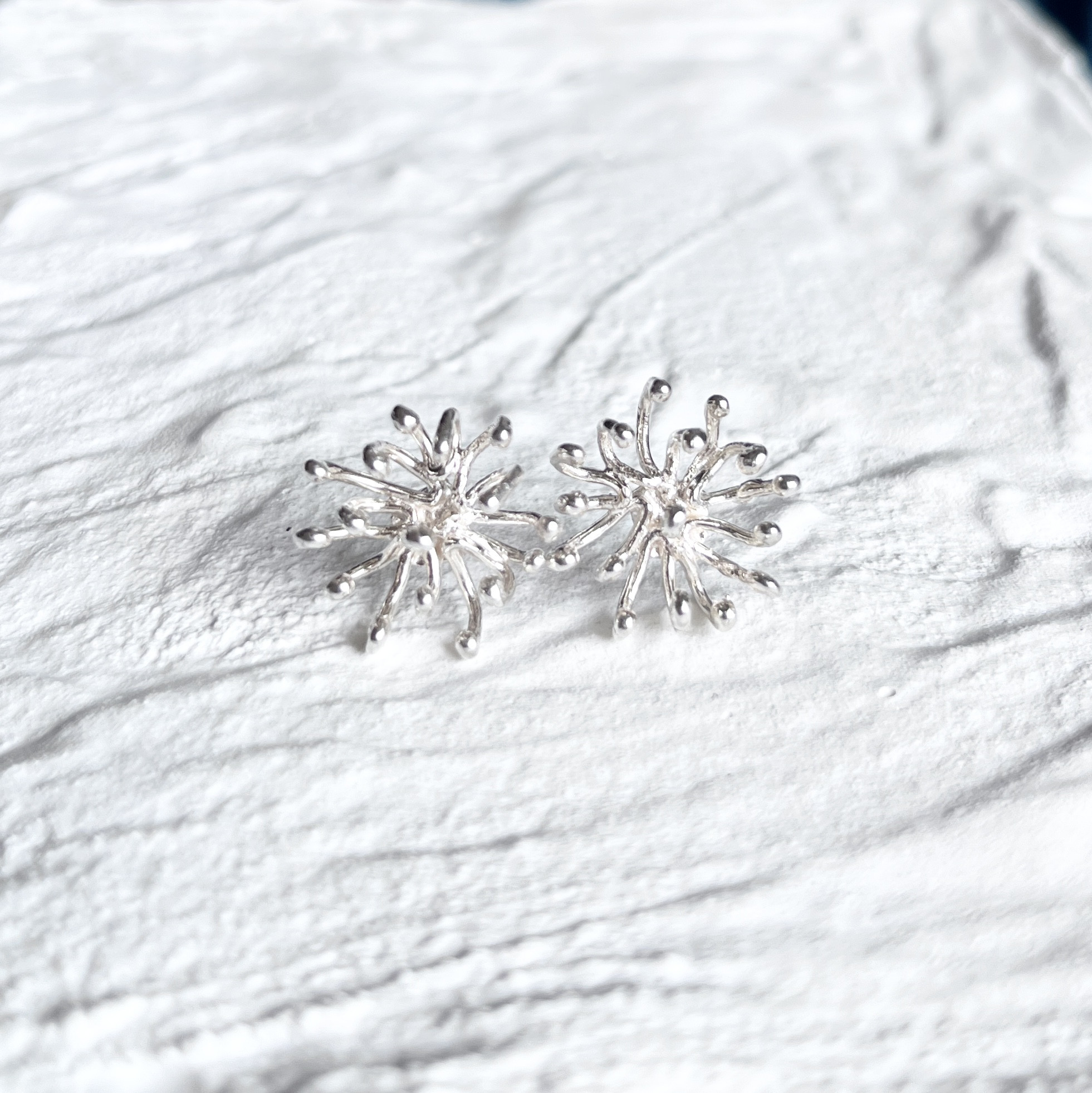 ボタニカルピアス -夜の魔法の森- シルバー925 Botanical Earrings Sterling Silver