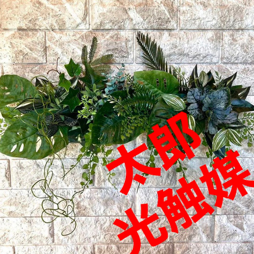 光触媒 人工観葉植物 ウォールグリーン フェイク フラワー シー