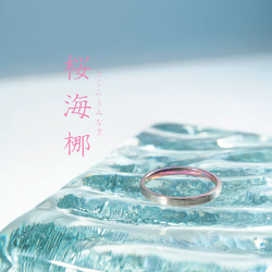「桜海梛」さくらうみなぎ　チタンリング   SkinnyRing　繊細なライン　ノンアレルギー 5枚目の画像