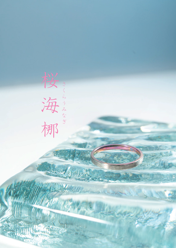 「桜海梛」さくらうみなぎ　チタンリング   SkinnyRing　繊細なライン　ノンアレルギー 5枚目の画像