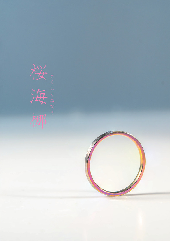 「桜海梛」さくらうみなぎ　チタンリング   SkinnyRing　繊細なライン　ノンアレルギー 6枚目の画像