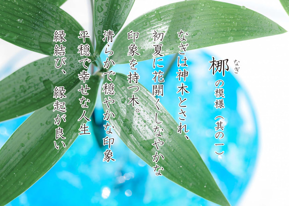 「桜海梛」さくらうみなぎ　チタンリング   SkinnyRing　繊細なライン　ノンアレルギー 7枚目の画像