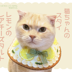 ＊ねこちゃんスタイ＊ ナチュラルチェックのネコちゃんスタイ | ちょっとおしゃれな