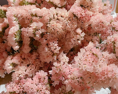 スターチス ハニーアプリ 20〜25cm 20本 レアカラー ドライフラワー 花