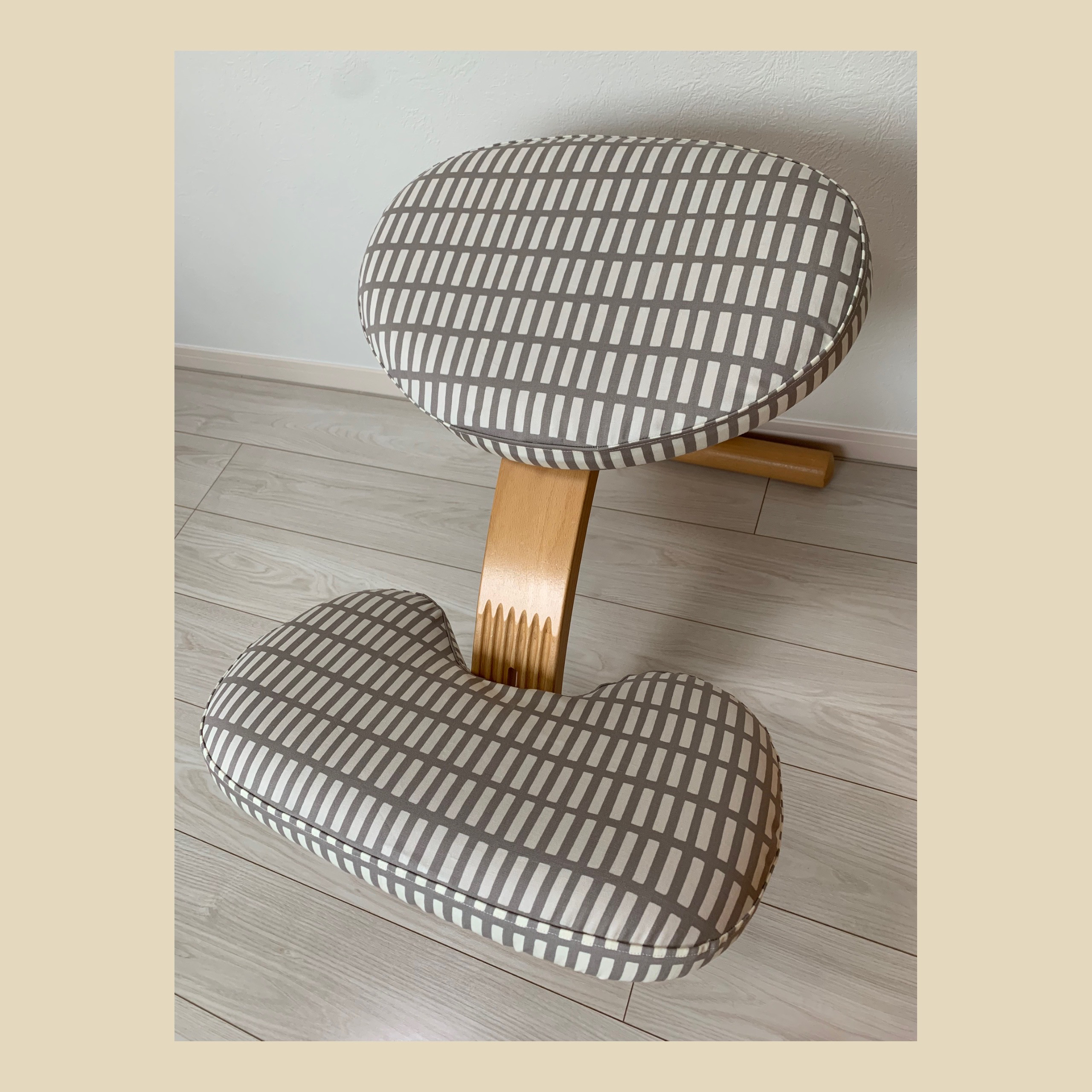 本日お値下げRybo社バランスチェアーEASY カバー付き