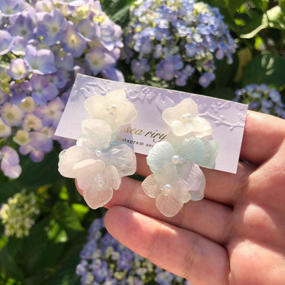no.653 シャーベットカラーの紫陽花ピアス ドライフラワー 紫陽花 淡色 