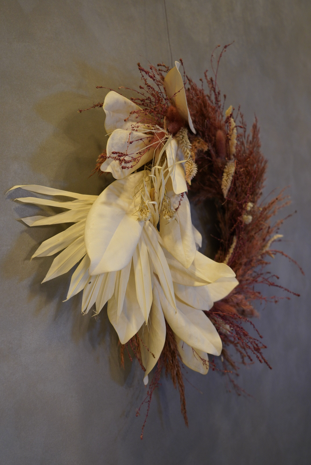 タイサンボク×プルームリードリース