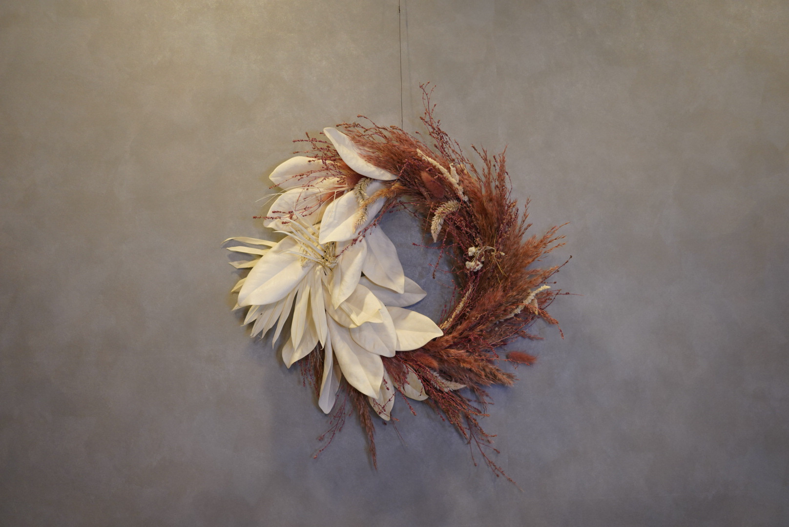 タイサンボク×プルームリードリース