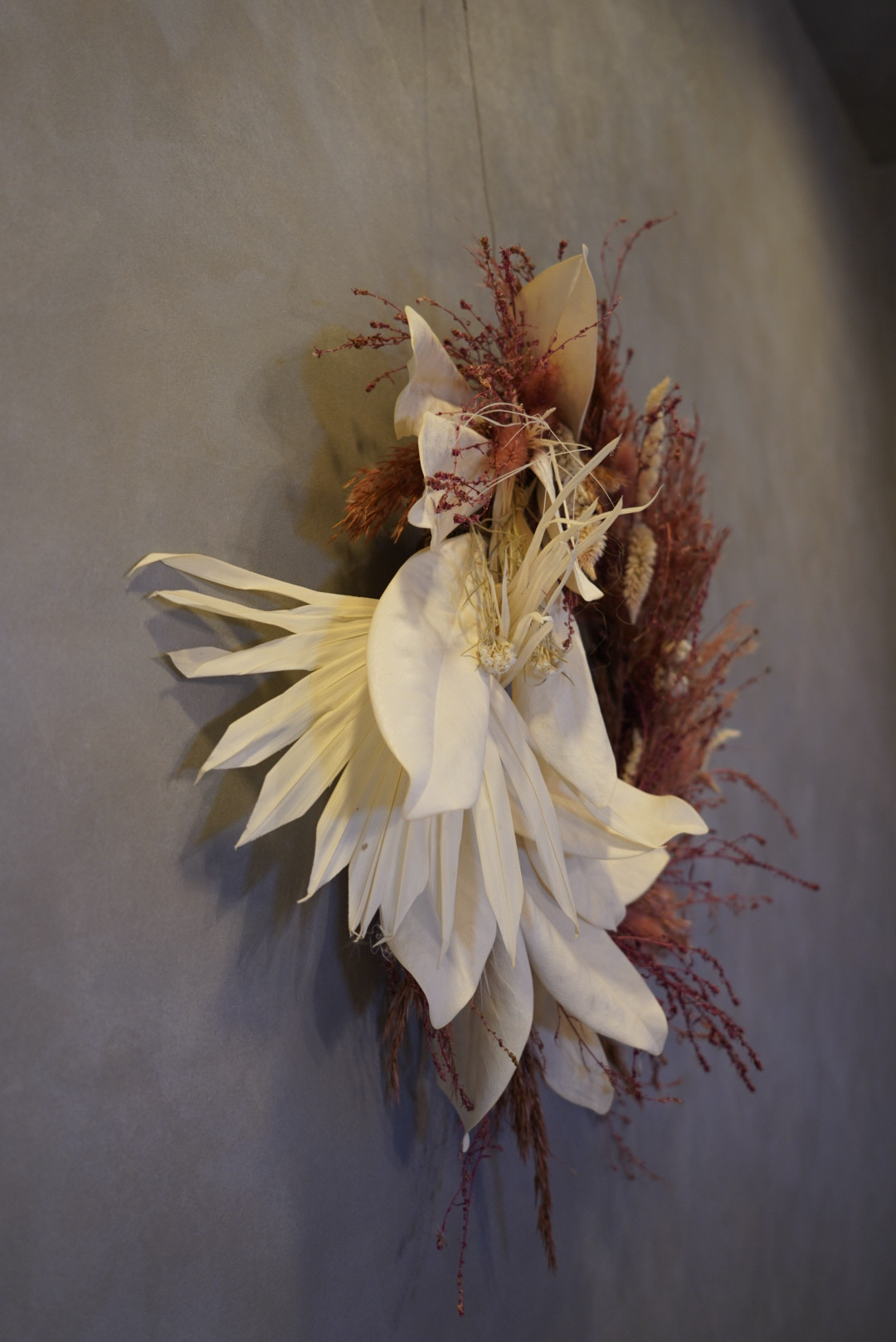 タイサンボク×プルームリードリース