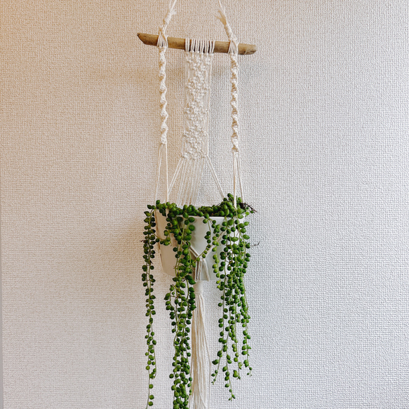 流木☆プランツハンガー 【公式通販】