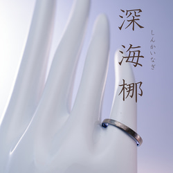 「深海梛」しんかいなぎ　チタンリング   SkinnyRing　繊細なライン　ノンアレルギー　内側彫刻可 4枚目の画像