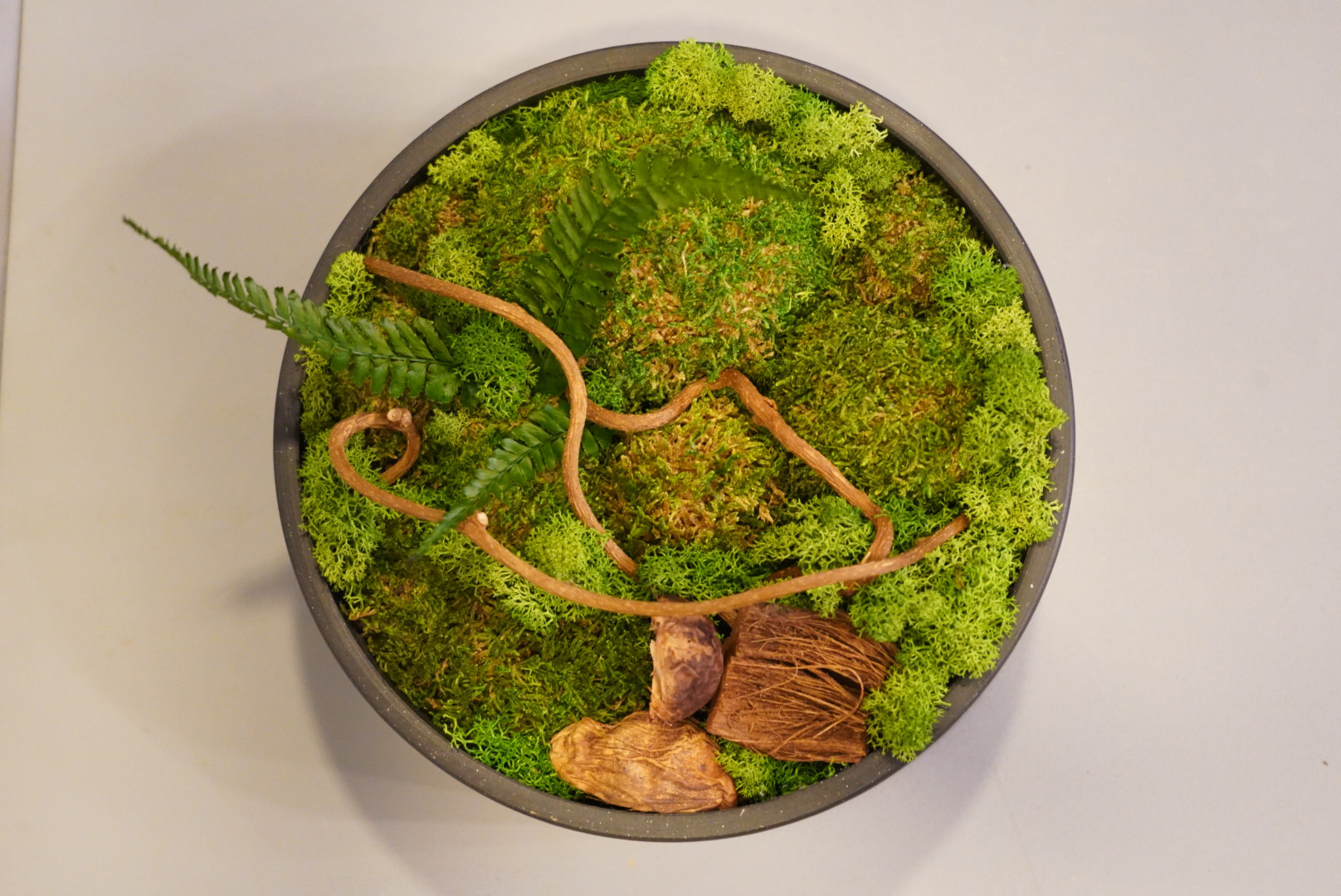 Moss Flame〜Round Green〜