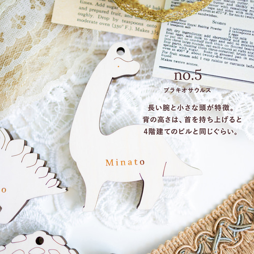 2点セット〉名入れ恐竜⌇子供席札・チャーム・タグ, 木製「Herbivore