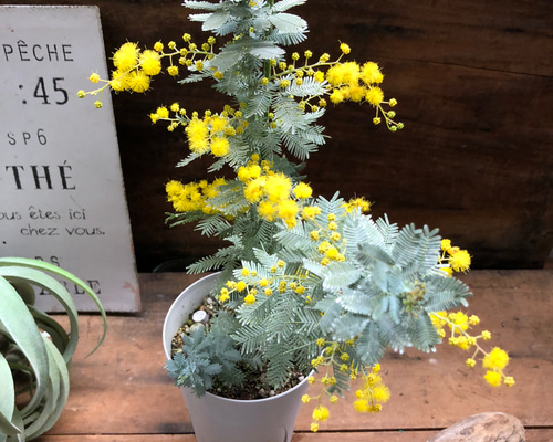 376ae12afd2ee7a8f749db268e2824