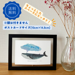 ポストカード おしゃれ アート デザイン イラスト カメ