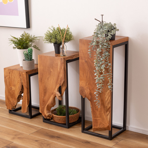 プラントスタンド 2点セット 【公式通販】