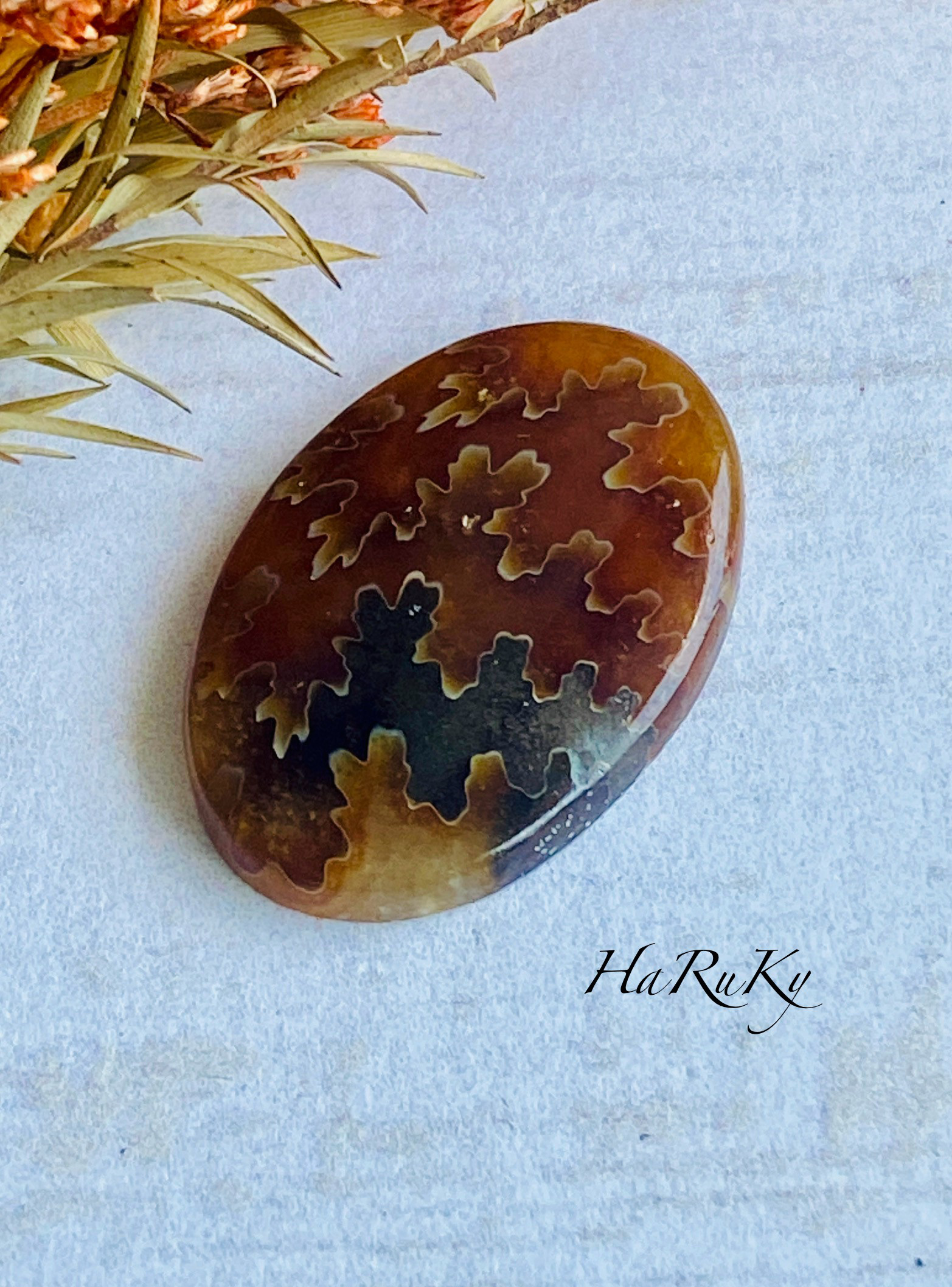 レア♢大きな菊石より♢白亜紀のアンモナイト/ クレオニセラス ハイグレード ルース 07 天然石 天然色