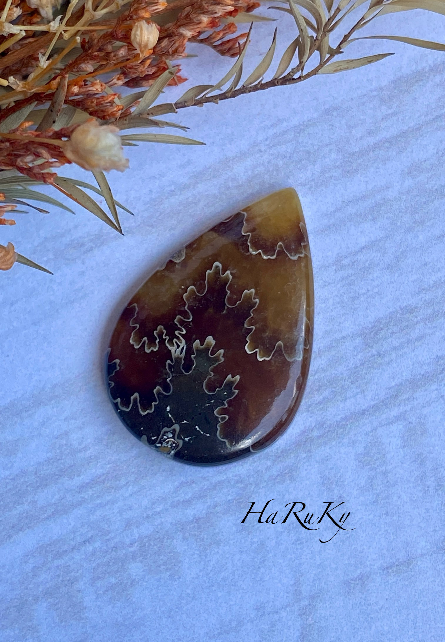 レア♢大きな菊石より♢白亜紀のアンモナイト/ クレオニセラス ハイグレード ルース 08 天然石 天然色