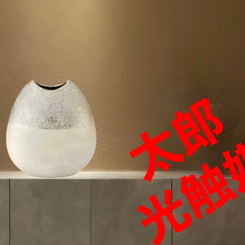 光触媒　人工観葉植物　ウォールグリーン　フェイクグリーン　花器のみ　グランL 光触媒 人工観葉植物 ウォールグリーン フェイクグリーン 花器のみ