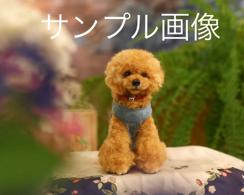 羊毛とプー】❤️スタンダードサイズ❤️ 羊毛フェルト オーダーメイド