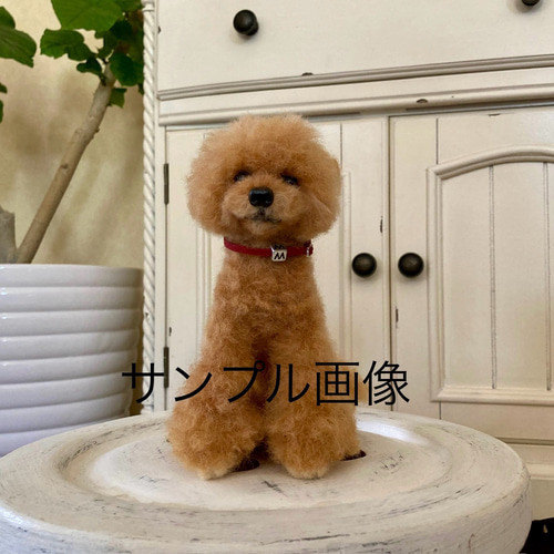 羊毛とプー】❤️スタンダードサイズ❤️ 羊毛フェルト オーダーメイド