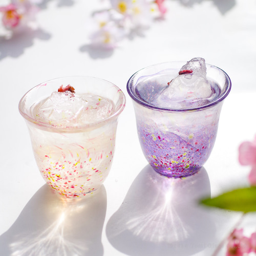 江戸硝子うきよ ペアタンブラー お花見 ST10228 グラス Tomi 江戸硝子うきよ ペアタンブラー お花見 ST10228 グラス Tomi