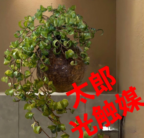 光触媒 人工観葉植物 ウォールグリーン フェイクグリーン