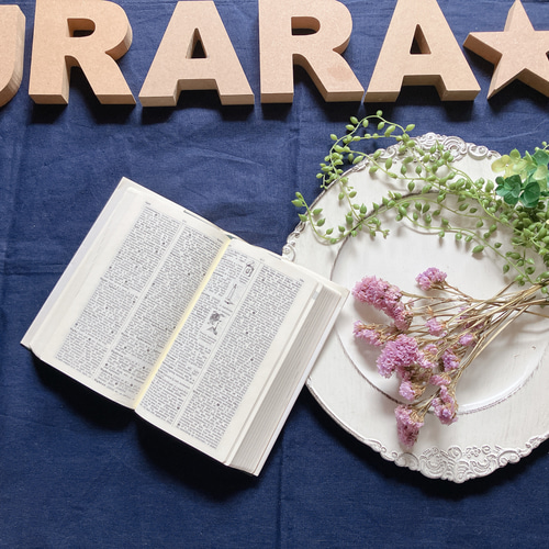 スターチス（ラベンダーパープル）ドライフラワー その他素材