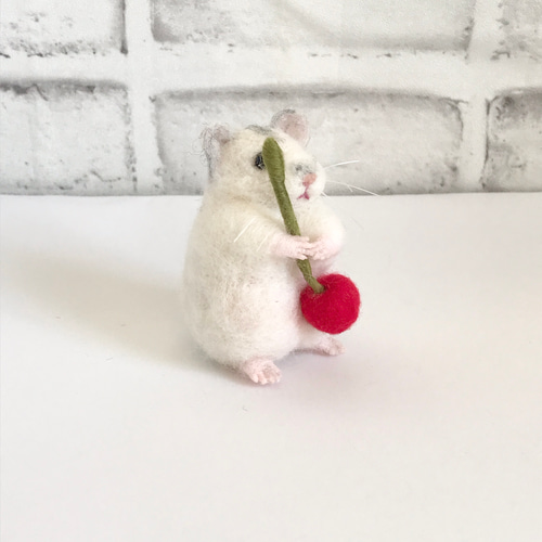 羊毛　ハムスター　パールホワイト パールホワイトちゃん🐹☺️💕⁡ ⁡ ⁡ #ハムスター #ハムスター