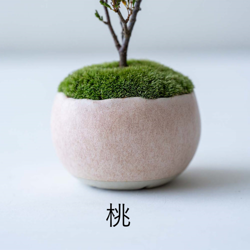 希少 　大皿　てびねり　アンティーク　盆栽　受皿 10号 盆栽皿 大和プラスチック 幅330mm奥行230mm高さ17mm