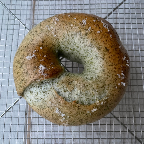 選べるベーグル詰め合わせセット（12個） パン memuchan 通販 17822258