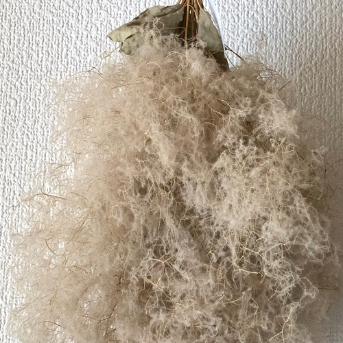 特価】スモークツリー スワッグ 34cm 【8】＊ ふわふわ ドライフラワー