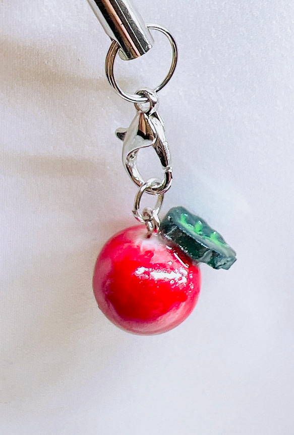オーロラに輝くりんごのキーホルダー その他アクセサリー