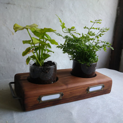 多肉植物プランター 男前 ハンドメイド インダストリアル 植物