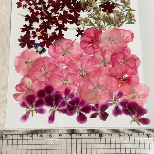 押し花・ドライフラワー花材 asuemon Amazon｜ドライフラワー 枯れない花 35 枚 永遠の花 押し花ステッカー