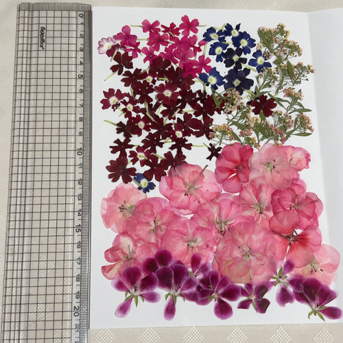 押し花花材セット No.9・10 ドライフラワー Satsuki 通販