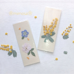 6fe799867d4045c9fc6f643668106b