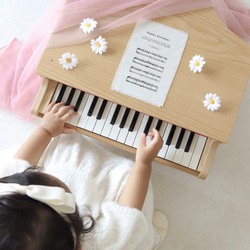 【即納】おうちスタジオ背景布 チュール チュール生地 背景布 バースデータペストリー ハーフバースデー 100日祝い 8枚目の画像