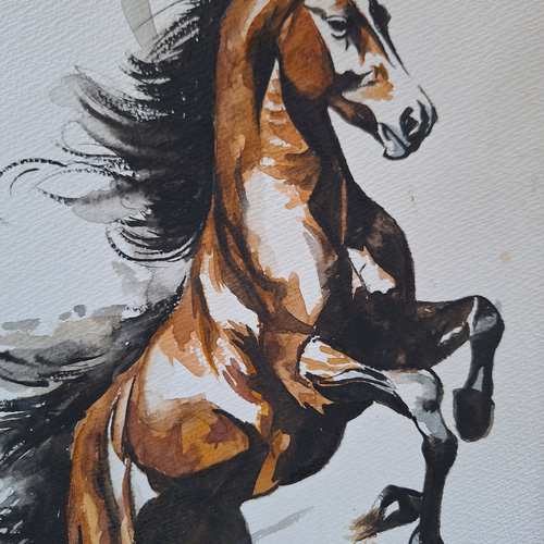 馬の水彩画 オレンジと黒 水彩画 暴れ馬 絵画 makochin 通販 17825403｜Creema(クリーマ)