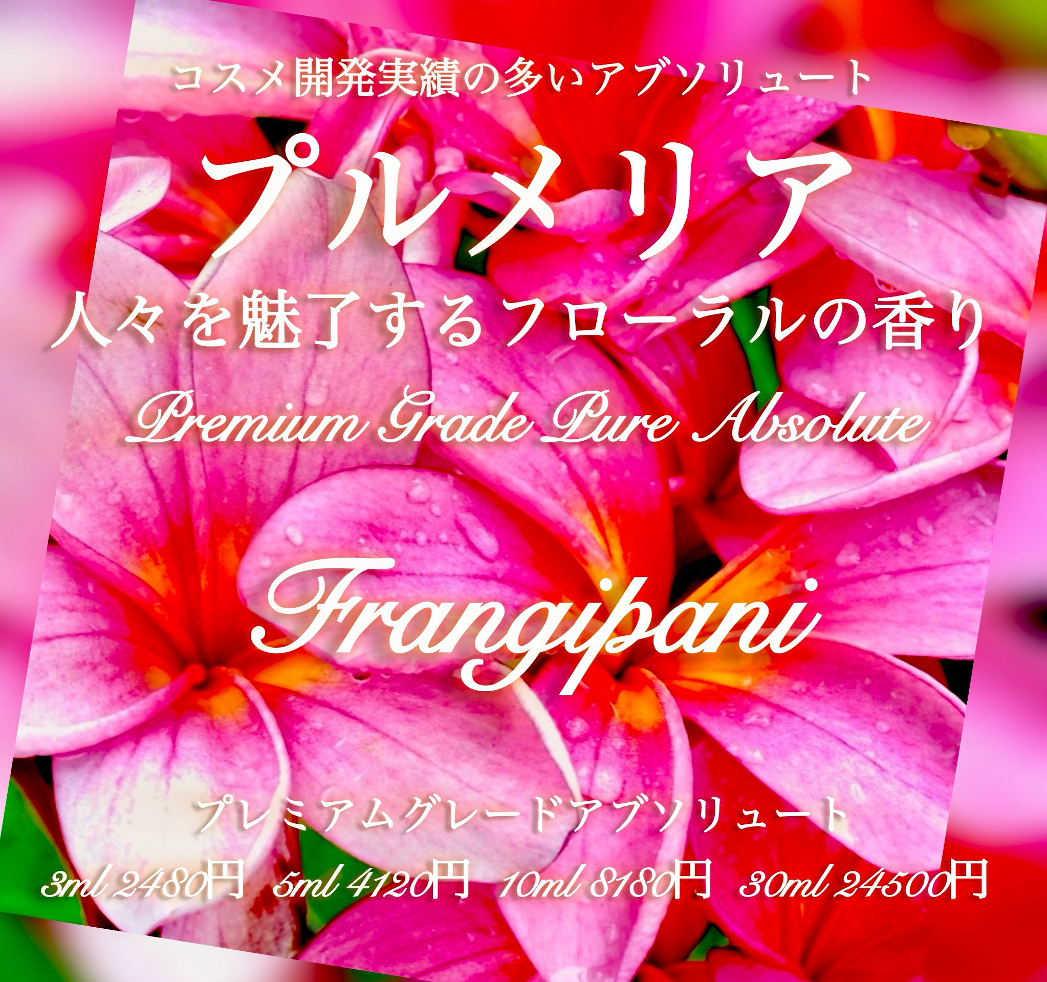 【人々を魅了する香り】フランジパニ(プルメリア)アブソリュート10ml