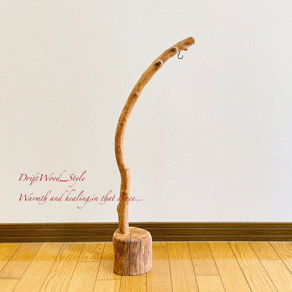 流木インテリア 緩やかに曲線を描く流木スタンド ランタンやエアプラントを飾れる置物 北欧 照明 木材 癒し N38 12枚目の画像