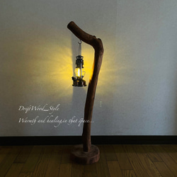 流木インテリア L字を描く無骨で太い流木スタンド ランタンやエアプラントを飾れる置物 北欧 照明 木材 癒し N39 8枚目の画像