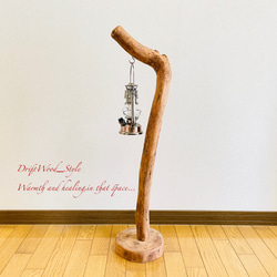 流木インテリア L字を描く無骨で太い流木スタンド ランタンやエアプラントを飾れる置物 北欧 照明 木材 癒し N39 9枚目の画像