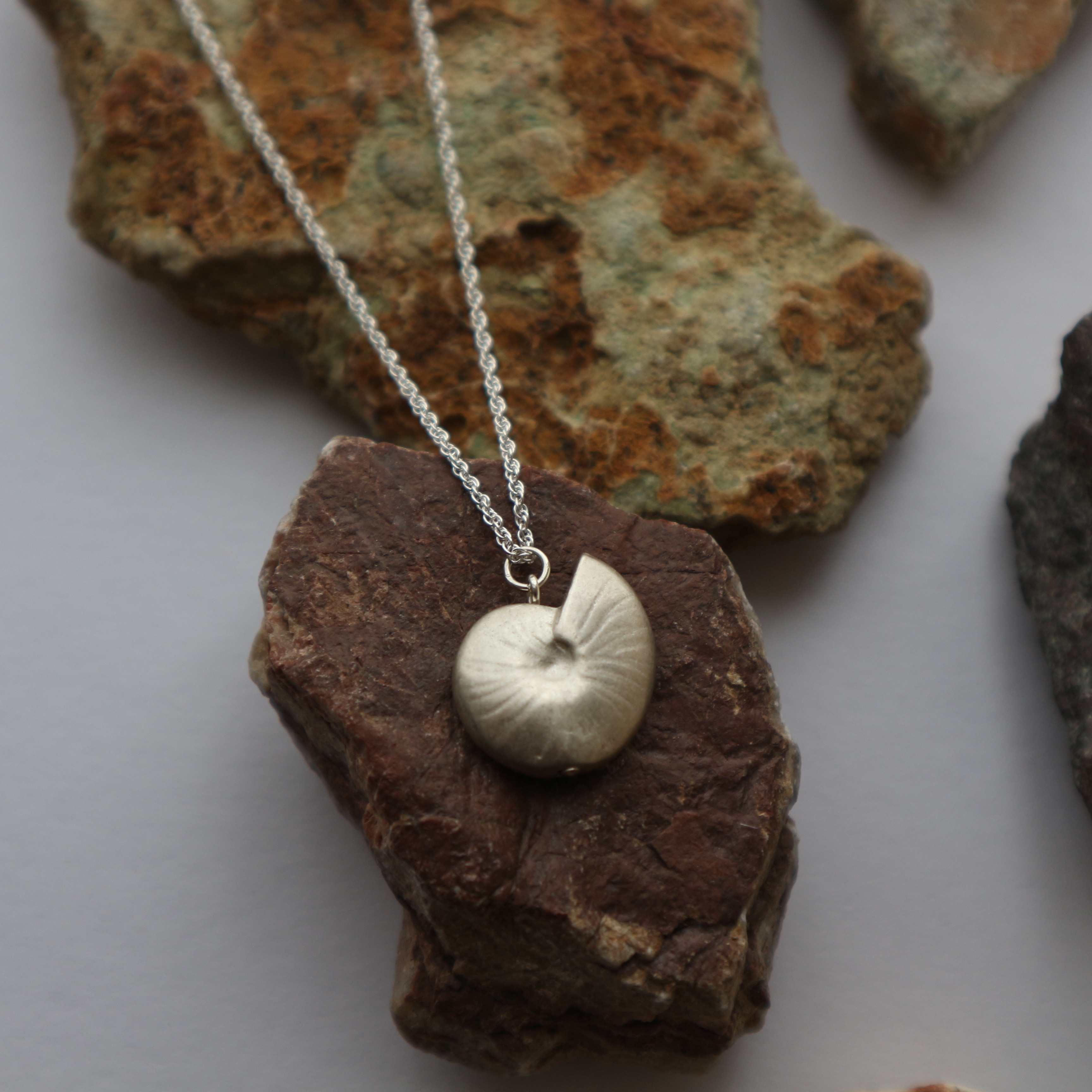【Silver925】アンモナイトのネックレス