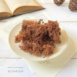 水晶入りアーシングポット（芝生タイプ） その他素材 tunsam 通販