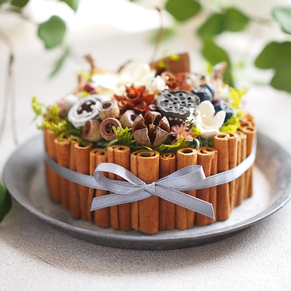 木の実のケーキアレンジ ドライフラワー モリネコ工房 通販 17827812