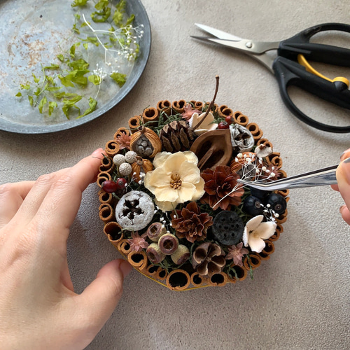 てづくりキット 木の実のケーキアレンジ キット モリネコ工房 通販