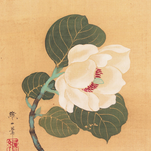 NO.586】白い花の日本画アートポスター☆和柄植物浮世絵お正月和モダン