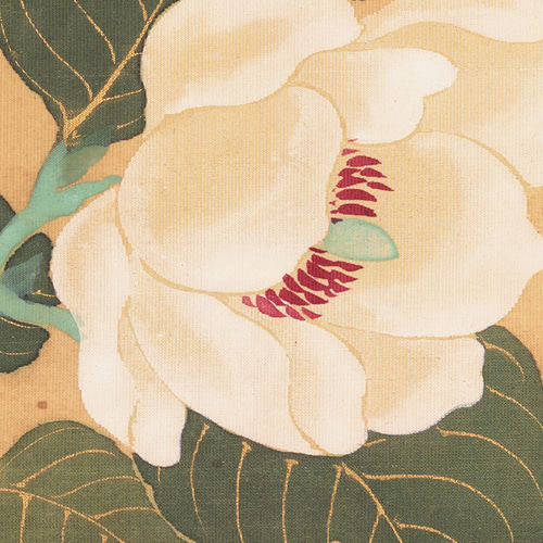 NO.586】白い花の日本画アートポスター☆和柄植物浮世絵お正月和モダン